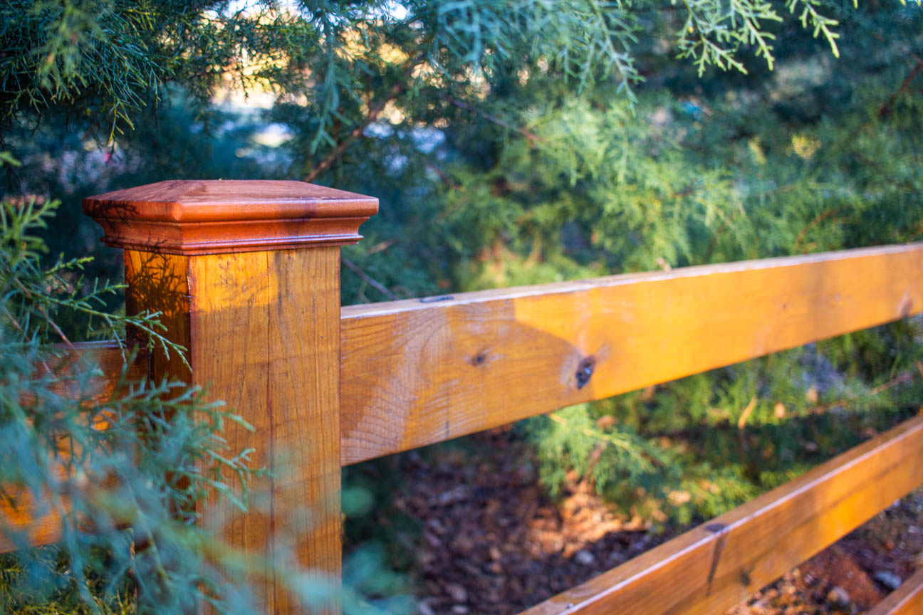 JakiJorg_Poster-6 (1)